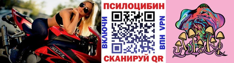 Псилоцибиновые грибы GOLDEN TEACHER  где найти   Гагарин 