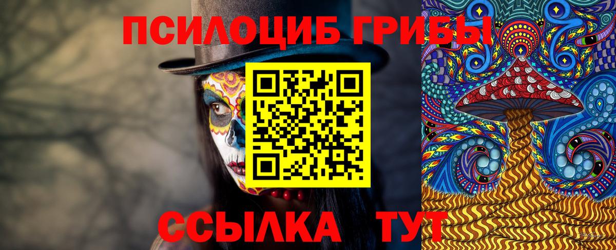 Псилоцибиновые грибы Psilocybe Гагарин